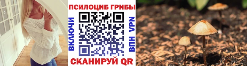 сайты даркнета клад  Мариинский Посад  Псилоцибиновые грибы Magic Shrooms  купить наркотик 