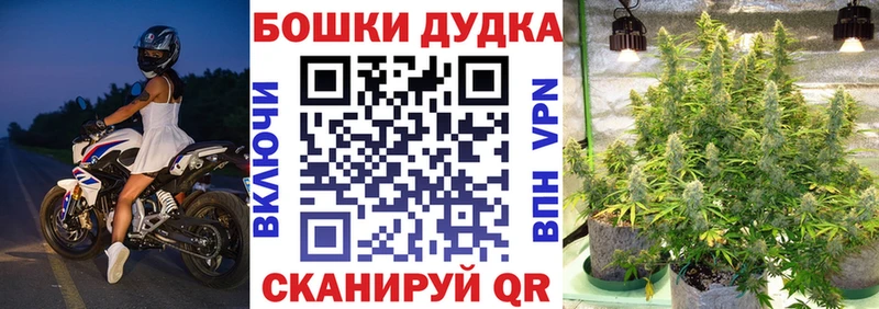 Бошки Шишки марихуана  Мариинский Посад 